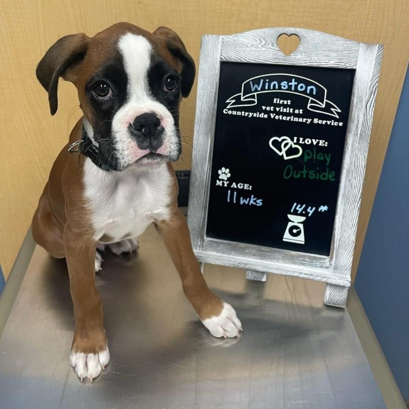 Community Connections Recognizing Staff and Patients